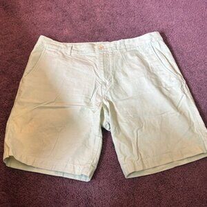 9" inseam Mint Green Shorts